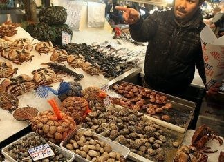 Καθαρά Δευτέρα 2026: Οδηγίες της Διεύθυνσης Κτηνιατρικής ΑΜΘ για ασφαλή αγορά θαλασσινών και σαρακοστιανών