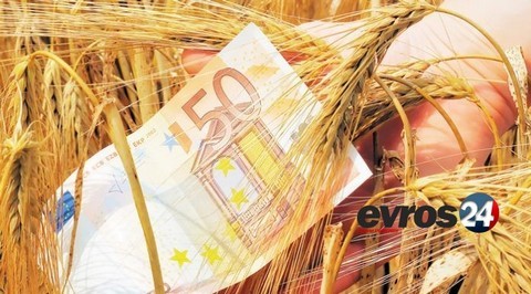 Αναρτήθηκαν οι πίνακες δικαιούχων της Εξισωτικής Αποζημίωσης 2025 – Άμεση πληρωμή