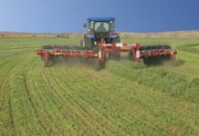 Έβρος: Κρατική ενίσχυση de minimis για παραγωγούς μηδικής – 65 ευρώ ανά στρέμμα