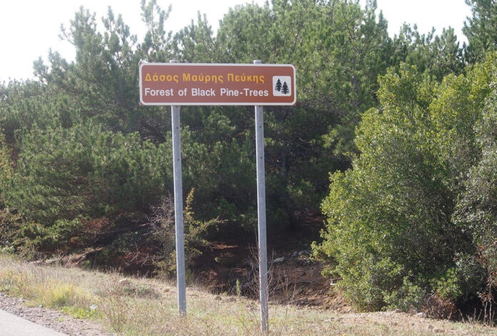 dasosmavrispefkis