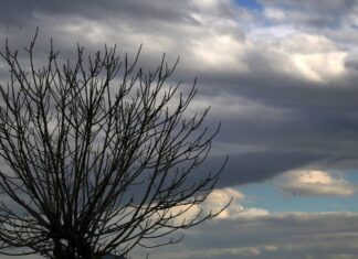 Καιρός: Τοπικές νεφώσεις, βοριάδες και νέα πτώση της θερμοκρασίας