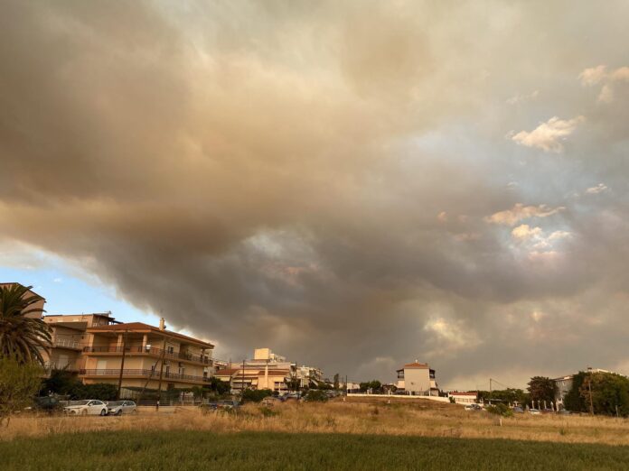 368815479_998993491152585_3703988907999331776_n