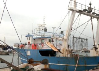 Νέο πρόγραμμα 26 εκατ. ευρώ για τη μεταποίηση προϊόντων αλιείας και υδατοκαλλιέργειας