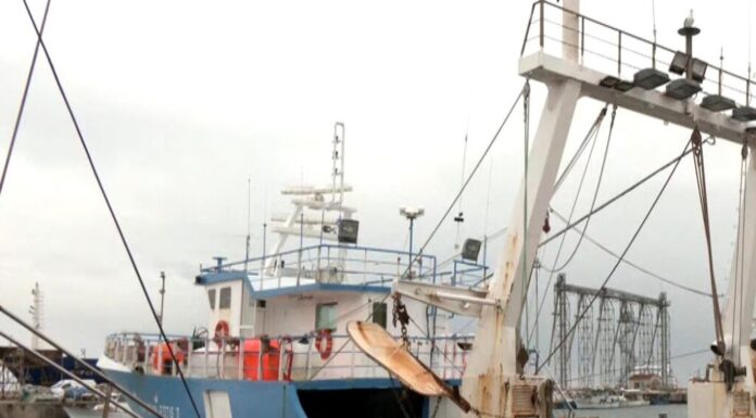 Νέο πρόγραμμα 26 εκατ. ευρώ για τη μεταποίηση προϊόντων αλιείας και υδατοκαλλιέργειας