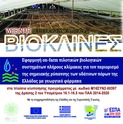 vioklines