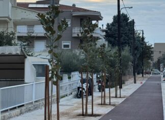 Αλεξανδρούπολη: Νέες μανόλιες στην οδό Αγίου Δημητρίου – Επέκταση των φυτεύσεων μετά την Κονδύλη