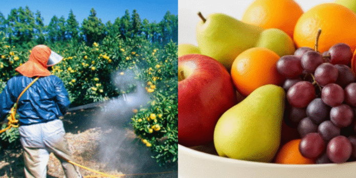 Collage-2025-10-28_15_52_32_651-750x375