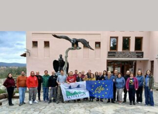 Ετήσια συνάντηση εταίρων του έργου LIFE για τον Μαυρόγυπα στη Δαδιά