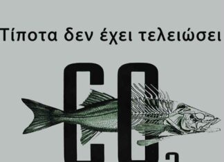 Συλλαλητήριο στην Καβάλα: «Σώζουμε τον Κόλπο της Καβάλας – Όχι στην αποθήκευση CO₂!»