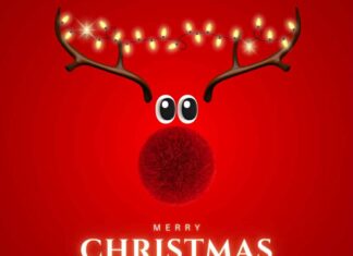 Οι Χριστουγεννιάτικες Προσφορές του Vita Plus Αλεξανδρούπολης που Υπόσχονται Άμεση Ανανέωση