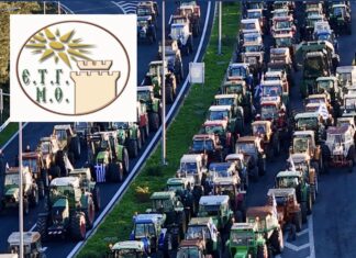 Ένωση Τουριστικών Γραφείων Μακεδονίας–Θράκης: Έκκληση προς τους αγρότες για απρόσκοπτη διέλευση των εκδρομών