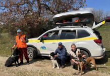 Κοινές περιπολίες ΕΜΑΔΔ και φορέων για την προστασία των γυπών στη Θράκη