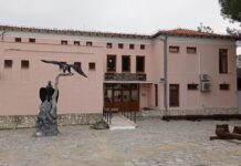 Έβρος: Καθημερινές ξεναγήσεις ξανά στο Εθνικό Πάρκο Δαδιάς – Ρεκόρ αναπαραγωγικών ζευγαριών το 2025