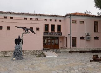 Έβρος: Καθημερινές ξεναγήσεις ξανά στο Εθνικό Πάρκο Δαδιάς – Ρεκόρ αναπαραγωγικών ζευγαριών το 2025